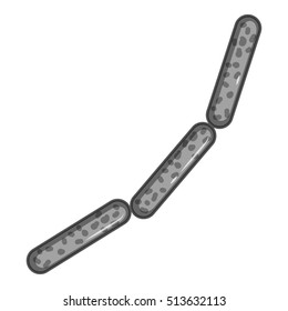 Rod shaped virus icon. Gray monochrome illustration of bacteria vector icon for web design