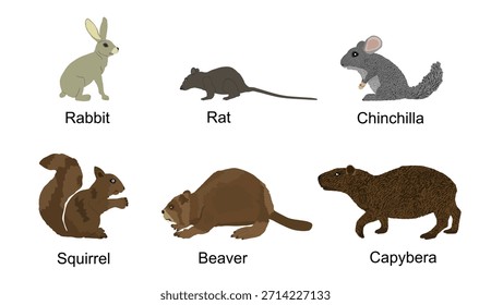 Los animales roedores fijan la Ilustración vectorial aislada en el fondo. Liebre de símbolo de conejo. Plaga de ratas. Chinchilla mascota. Mascota ardilla. Dibujos animados de Beaver. Animales del bosque de madera. Capibara.