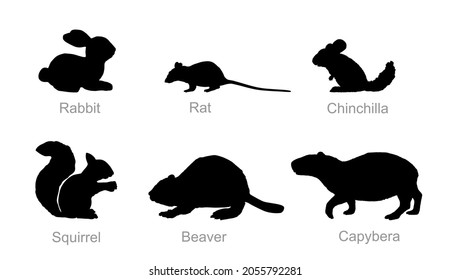 Rodent animals set vector silhouette illustration isolated on white background. Rabbit symbol. Rat shadow. Chinchilla shape. Squirrel pet. Beaver sign. Wood forest animals. 
