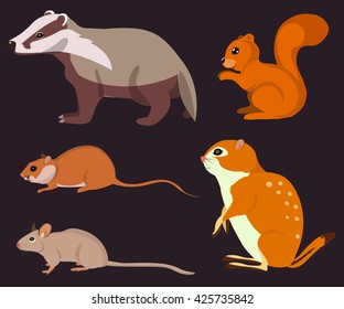 Rodent animals. Vector illustration.