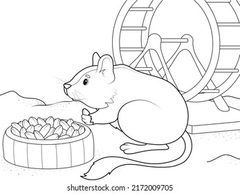 Rodent degu in a cage. Children coloring book, vector.