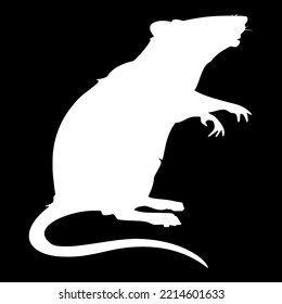 Rodent Lab Rat Animal Vector