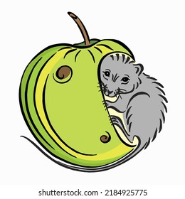 Rodent mouse vector illustration. Image of a cute grey mouse inside a green apple. Illustration Isolated on White Background. Can be used for printing on t-shirts, posters, postcards.