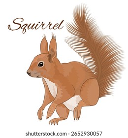 Rodent squirrel cute baby forest rodent vintage watercolor  vector illustration editable hand drawing