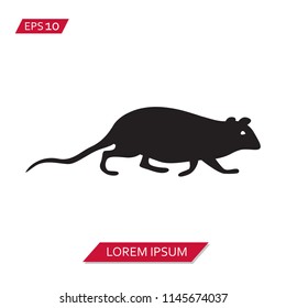 rodent vector icon symbol