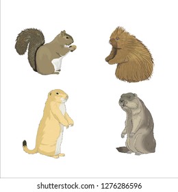 Gopher Stock Illustrations, Images & Vectors | Shutterstock