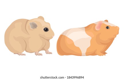 Rodents with Robust Bodies and Short Limbs Vector Set