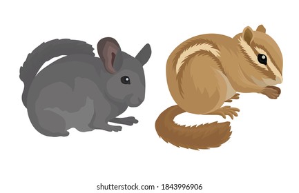 Rodents with Robust Bodies and Short Limbs Vector Set svg