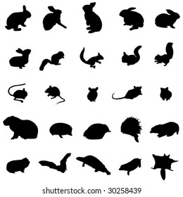 Rodents and small mammals