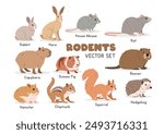 Rodents vector illustration set. Rodent species cartoon clipart set in flat style. Rabbit, hare, mouse, rat, capybara, beaver, hamster, squirrel, chipmunk, guinea pig, hedgehog flat vector design