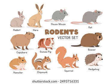 Rodents vector illustration set. Rodent species cartoon clipart set in flat style. Rabbit, hare, mouse, rat, capybara, beaver, hamster, squirrel, chipmunk, guinea pig, hedgehog flat vector design