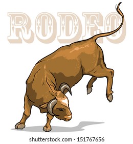 Rodeo Bull, Isolated