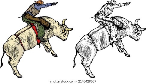Rodeo cowboy ride a bucking bull, isolated against white. Hand drawn vector illustration.