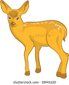 Roe Deer Character on white background