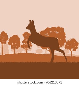 Roe deer in forest field with sunset and trees vector background