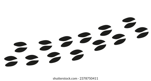 Roe deer paws. Animal foot traces. Roe deer black footprints on white background. Flat vector illustration. Design for print, decoration, childrens educational book