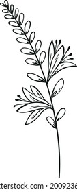 Roe flower vector art black with white background