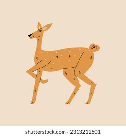 Roe. Ilustración vectorial con estilo dibujado a mano.