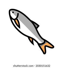 rohu fish color icon vector. rohu fish sign. isolated symbol illustration