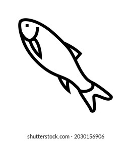 rohu fish line icon vector. rohu fish sign. isolated contour symbol black illustration