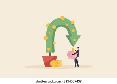 ROI Concept, Return On Investment Performance Measure From Cost Invested And Profit Efficiency, Marketing Cost To Get Campaign Success Concept. Plant Shaped Like A Growth Graph.