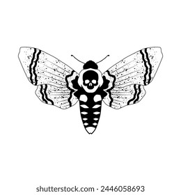 Roisterer. Death's head hawk moth. A large massive butterfly with a wingspan of up to 13 cm, belonging to the hawk moth family. Vector illustration.