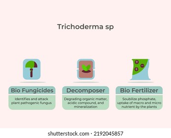 Rolle von Trcichoderma sp als Bio-Fungizide, Dekomposer und Biodünger