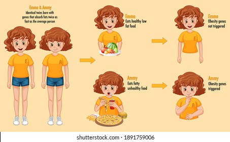 Roles de genes y medio ambiente. Grasa corporal en infografía de gemelos idénticos. ilustración