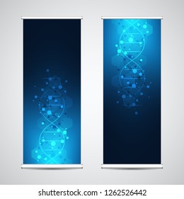 Roll up banner stands with DNA strand and molecular structure. Genetic engineering or laboratory research. Abstract geometric texture for medical, science and technology design