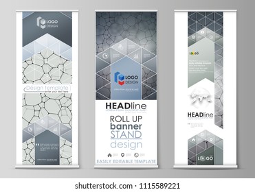 Roll up banner stands, flat design templates, corporate vertical vector flyers, flag layouts. Chemistry pattern, molecular texture, polygonal molecule structure, cell. Microbiology concept.