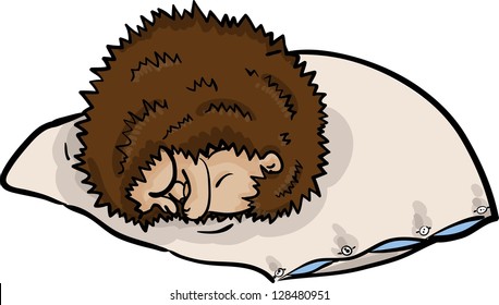 Roll up hedgehog sleep on pillow