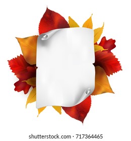 Roll of old paper and autumn leaves. Vector illustration, isolated on white background.