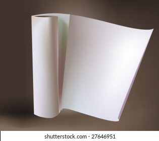 roll of paper