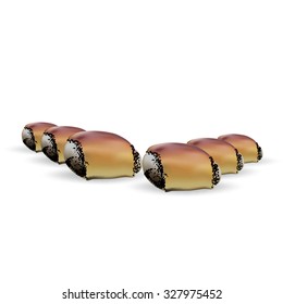 roll with poppy seed bun baked sweet vector