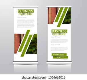 Roll up stand design. Vertical banner template for education, business, presentation, advertisement. Vector illustration. Green color.