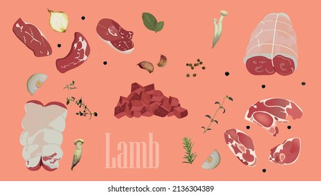 Rolled breast of lamb,Lamb Gigot Chops,Rolled Shoulder of Lamb,Diced lamb,Side Loin Chops,vector illustration,poster