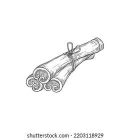 Rolled Cinnamon Sticks Isolated Culinary Condiment Monochrome Sketch Icon. Vector Scented Plant, Cinnamomum Verum Tree Bark, Spa Aromatherapy. Flavoring Seasoning, Dry Rolled Spicy Bakery Ingredient