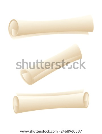 Rolled paper scroll in different positions, isolated on a white background. Template for graduation diploma, certificate of education, antique letter on parchment, ancient magic manuscript.