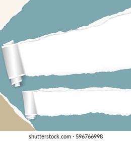 Rolled and ripped blue notebook sheet, torn paper in corners