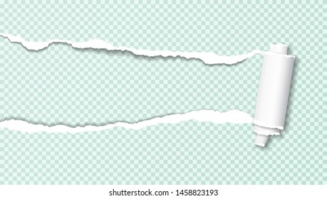 Rolled and ripped green squared notebook paper. Background for text or message