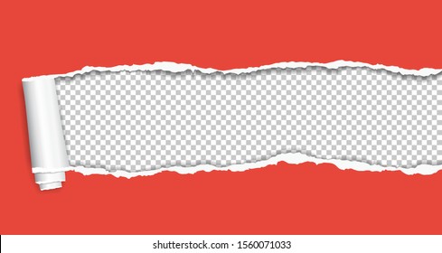 Rolled and ripped red notebook paper sheet is on squared background for text. Vector illustration