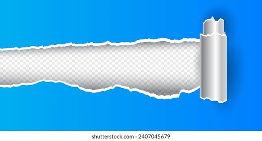 rolled ripped torn paper sheet on transparent background vector