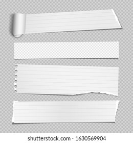 Rolled and ripped white note paper pieces, strips are on squared background for text. Vector illustration