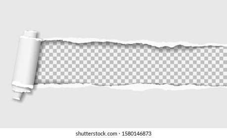 Rolled and ripped white notebook paper is on squared background for text. Vector illustration