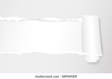 Rolled and ripped white notebook paper sheet. Vector illustration