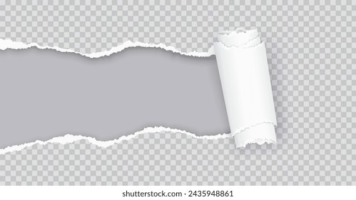 Rolled torn paper over grey realistic vector illustration. Damaged notepad page. Hole in document 3d object on transparent background