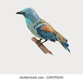 Roller Bird Vector Illustration