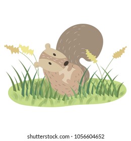 Rolling squirrel on meadow cartoon vector illustration. Cute squirrel pastel cartoon. 