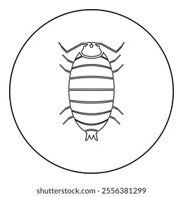 Roly poly woodlouse porcellio scaber woodruff icon in circle round black color vector illustration image outline contour line thin style