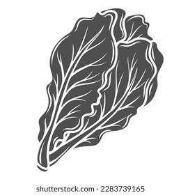 Romaine lettuce glyph icon vector illustration. Stamp of greens leaf bunch for Caesar salad, lettuce leaves and leafy vegetable for cooking vegetarian soup, natural product of farm greengrocer